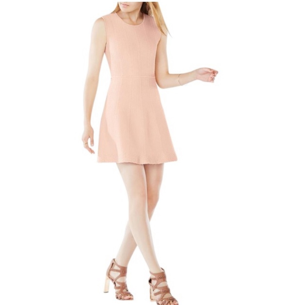 • BCBGMaxaria • Dyanne Fit and Flare Dress XS